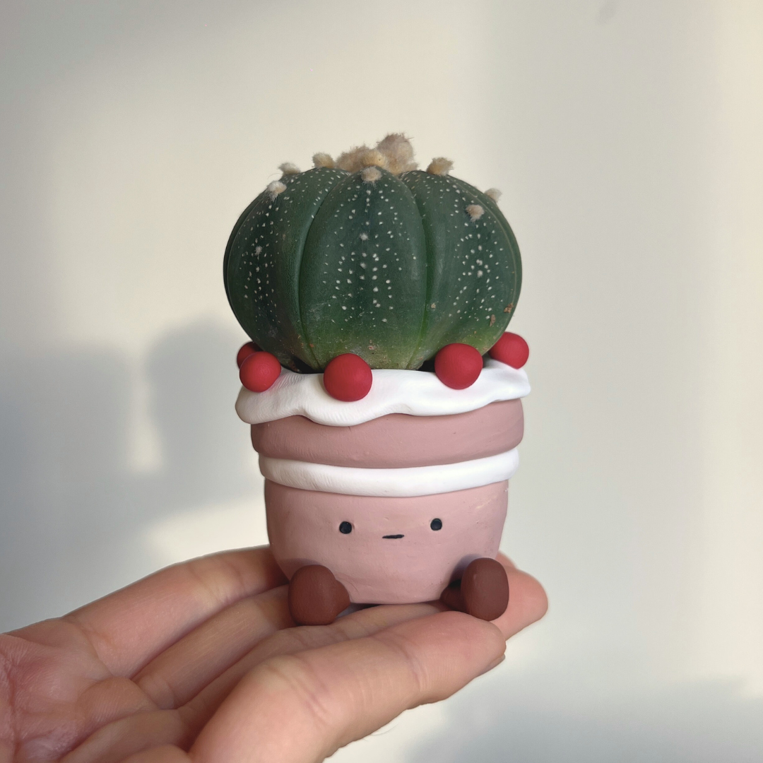軟陶迷你植物盆工作坊 Polymer Clay Mini Plant Pot Workshop