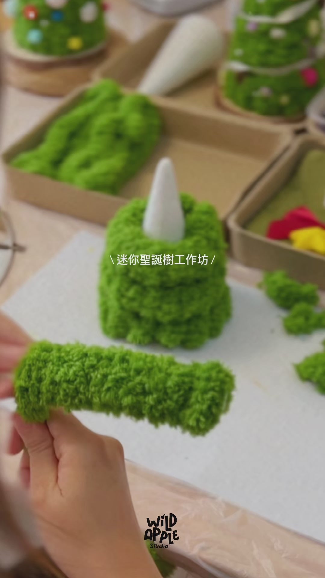毛毛迷你聖誕樹工作坊 Mini Fluffy Christmas Tree Workshop